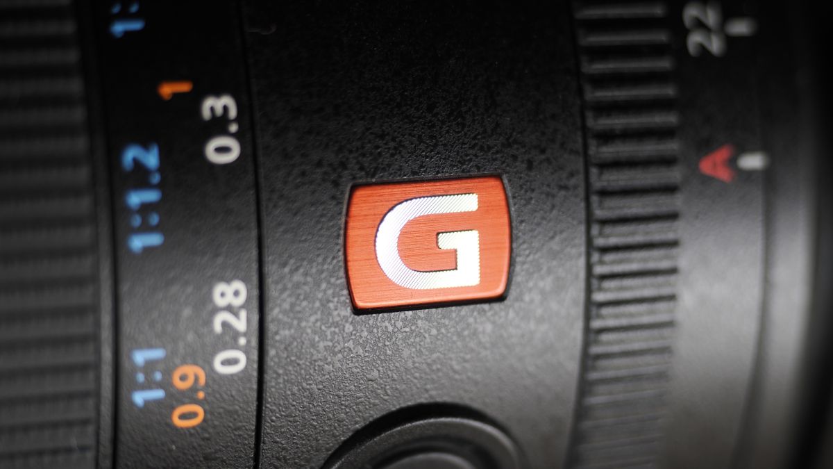 Sony FE 100mm f/2.8 Macro GM OSS on a wooden surface
