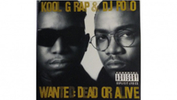   Kool G. Rap and DJ Polo: Wanted: Dead Or Alive
