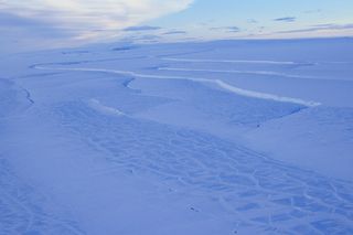 Rifts in the Scar Inlet Ice Shelf