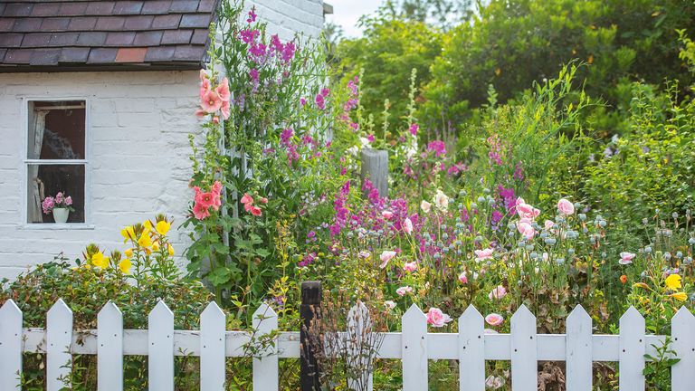 Cottage Garden Plants The Top Flowers, Ideas For A Cottage Garden Border