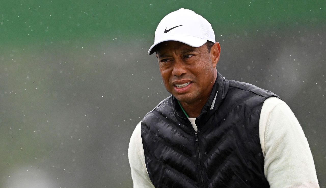 Tiger walks through the rain whilst grimacing 