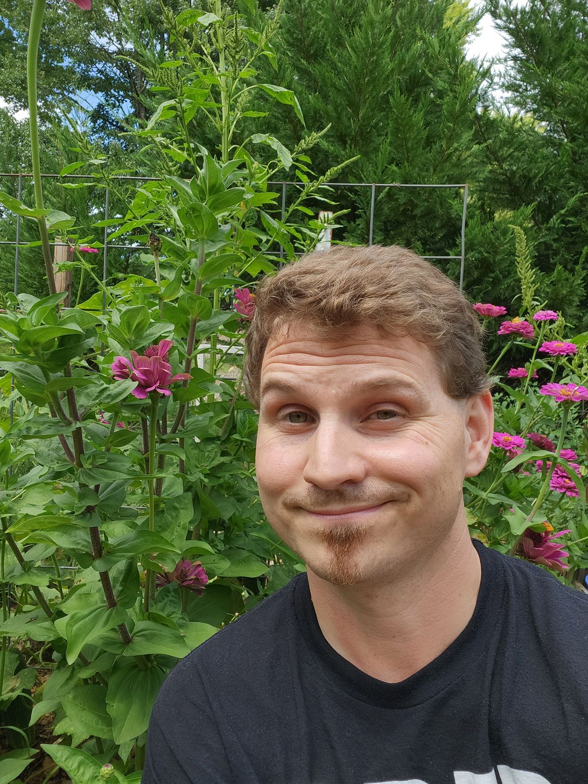 Samsung Galaxy Z Fold 4 cover camera samples