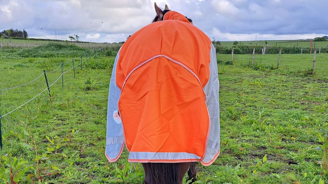 Swish Waterproof Fly Combination Turnout tail flap