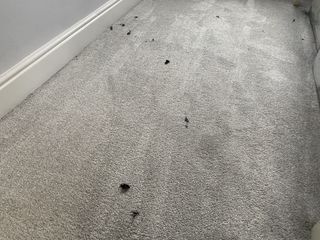 Bissell Powerclean 2x fluff after cleaning carpet