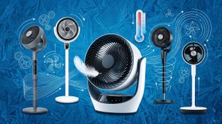 Three standing fans and one desk fan on a blue background with a feather and thermometer