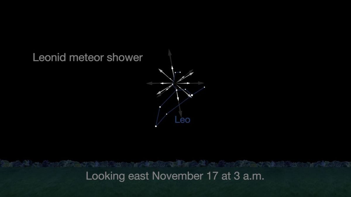 Leonid Meteor Shower 2021: When, Where & How To See It | Space