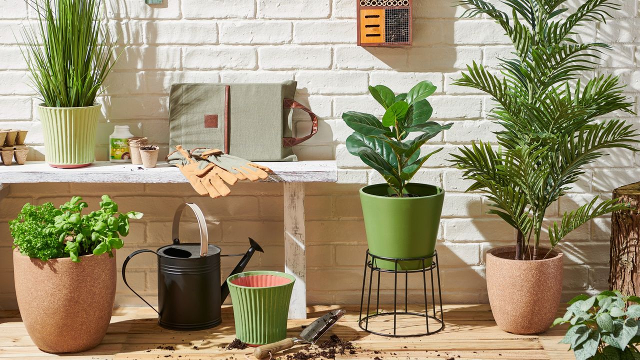 Gardening tools and plant pots with houseplants