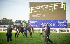 DSC5031.jpg