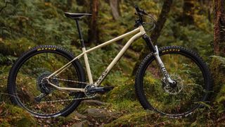 130mm hardtail 29er