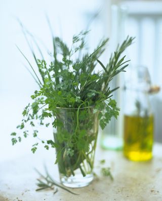 collection fo herbs including chervil in a glass