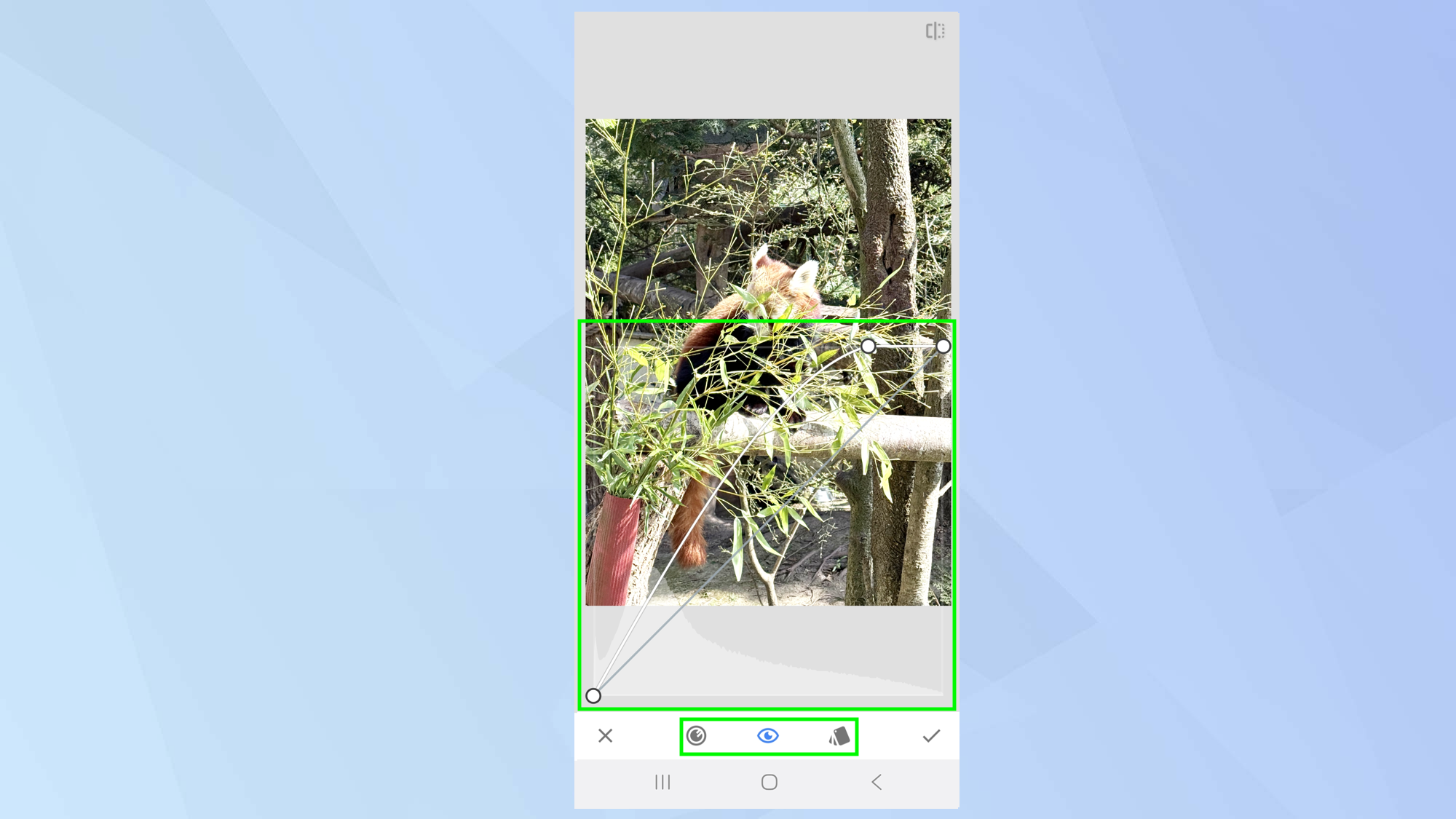 How to use Snapseed – Google’s free photo editing app