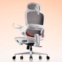 Sihoo B100 Office Chair