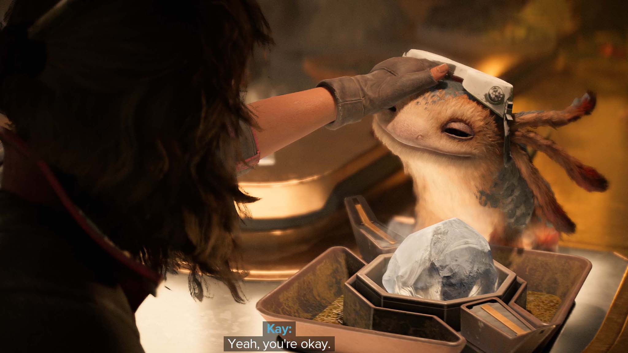 Star Wars Outlaws petting Nix.