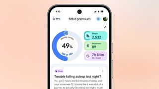 Fitbit AI coach inside the app