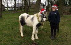 Diamond-Geezer-now-christmas-2015.jpg