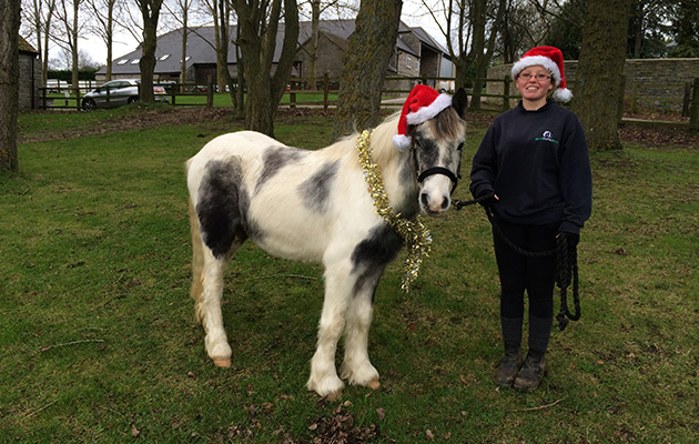 Diamond-Geezer-now-christmas-2015.jpg
