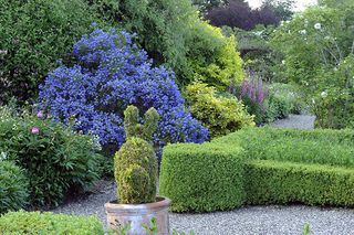 Benvarden ©Val Corbett/Country Life