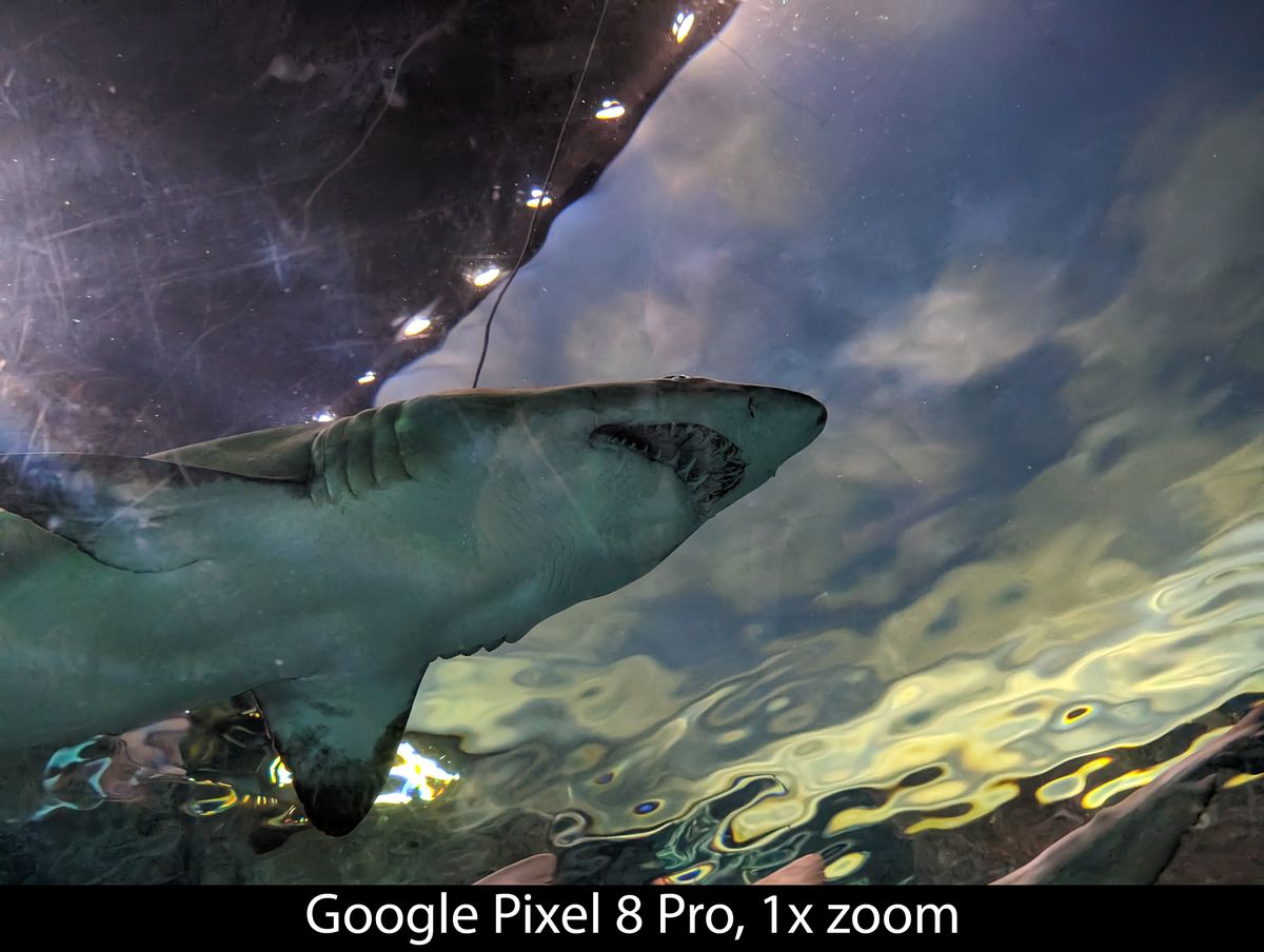 Camera samples from the Google Pixel 8 Pro's main camera