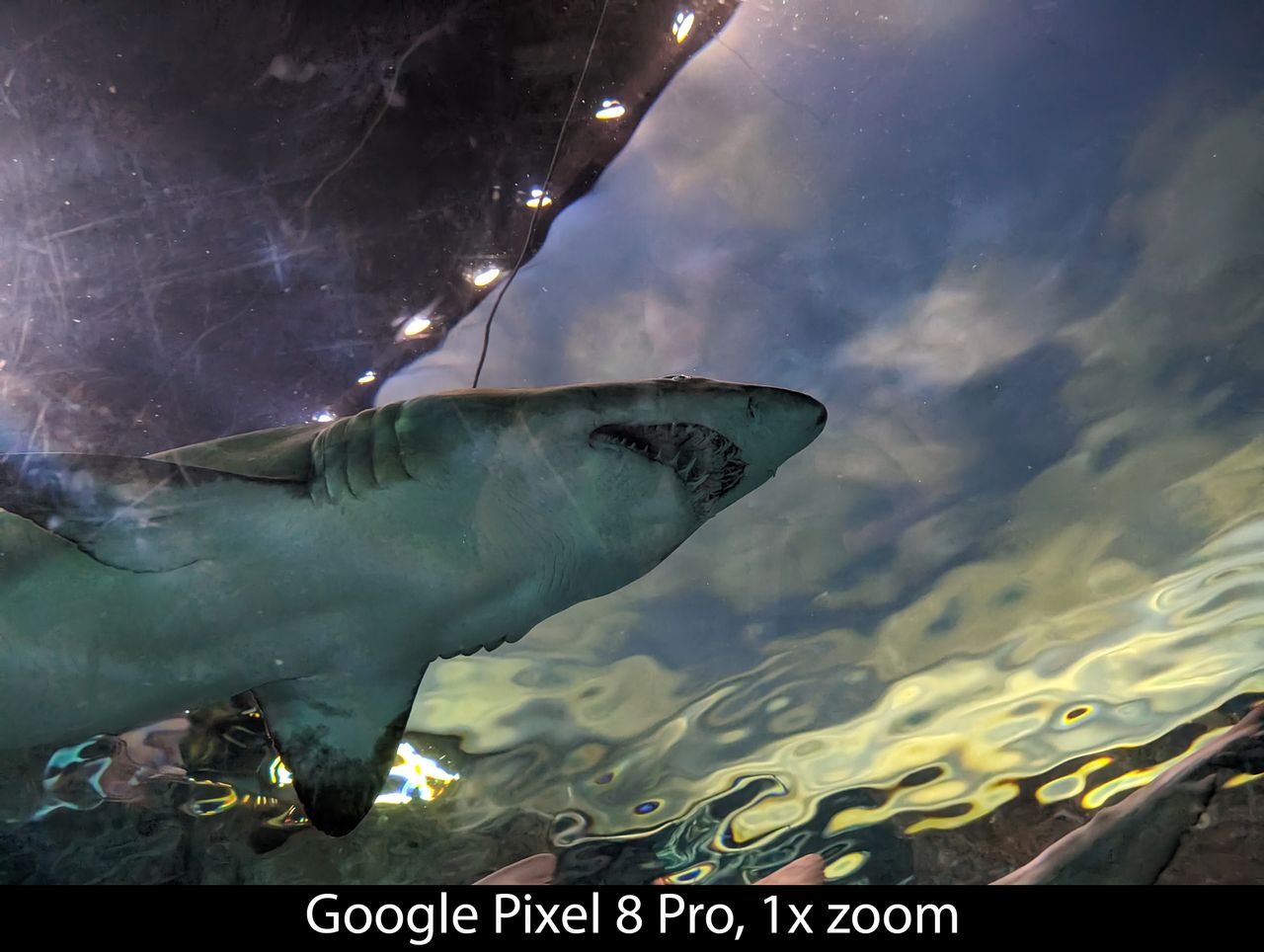 Camera samples from the Google Pixel 8 Pro's main camera