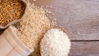 Different rice grains