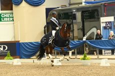 dannie morgan winter dressage championships