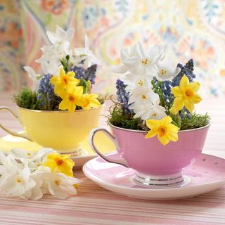 teacup planter with saucer and spring flowers