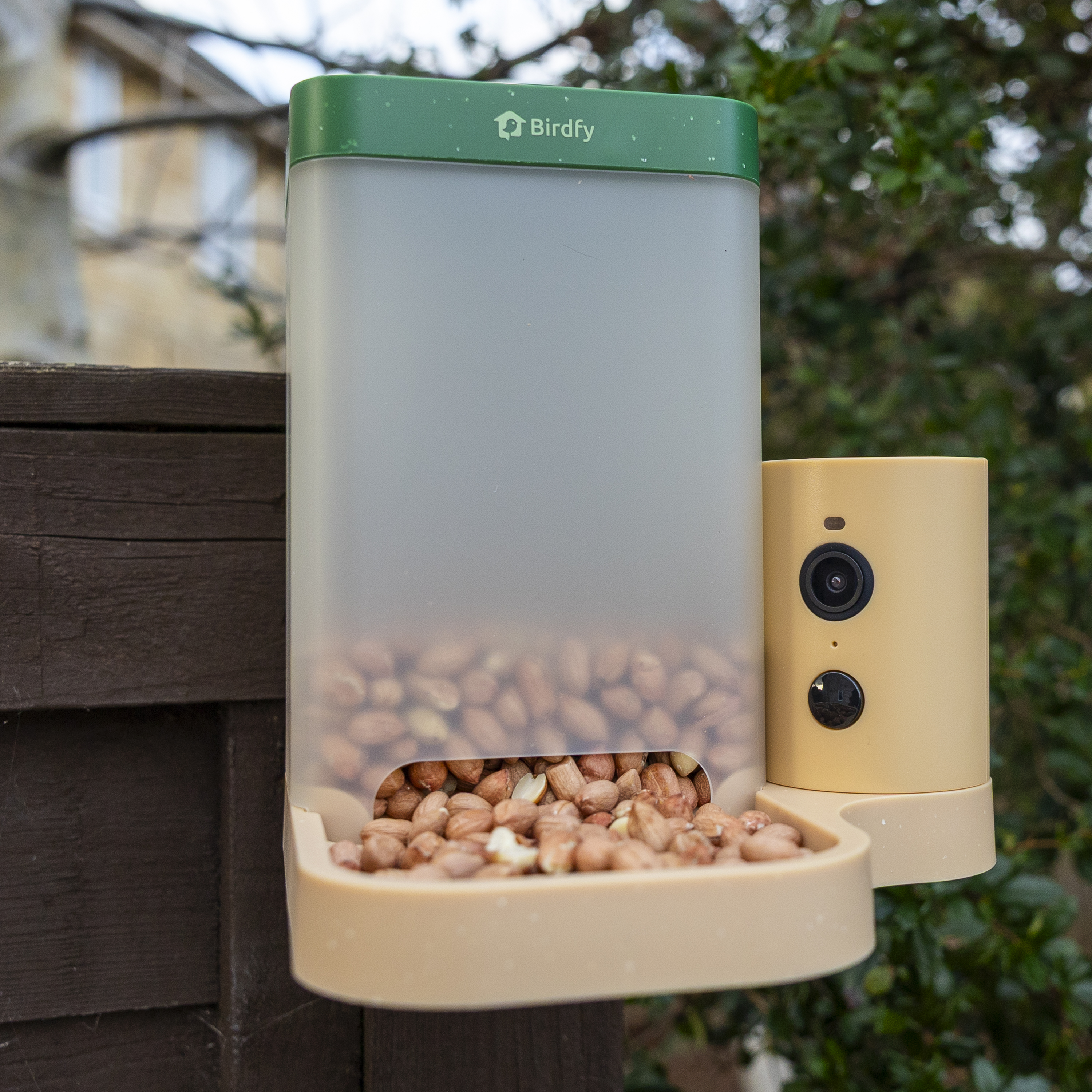 The Birdfy Rookie feeder attached to a brown garden fence