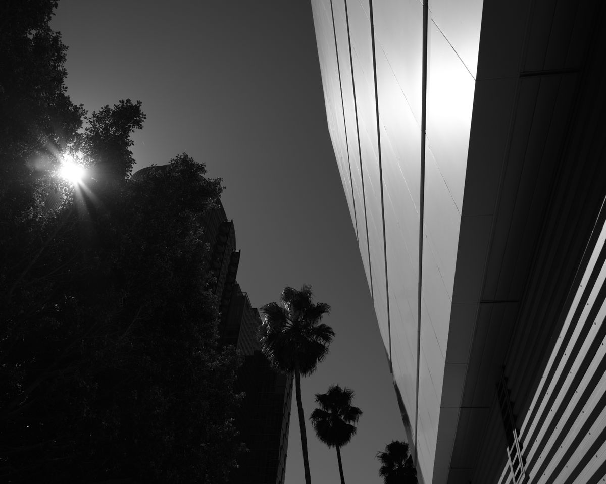 A sample image taken with the Fujifilm GFX100RF
