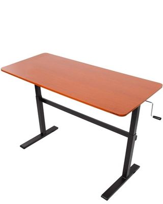 Stand Steady Tranzendesk