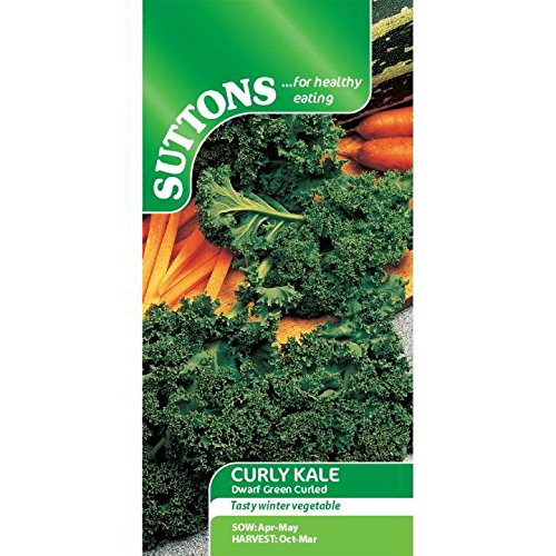 Suttons - Kale Seeds - Dwarf Green Curled