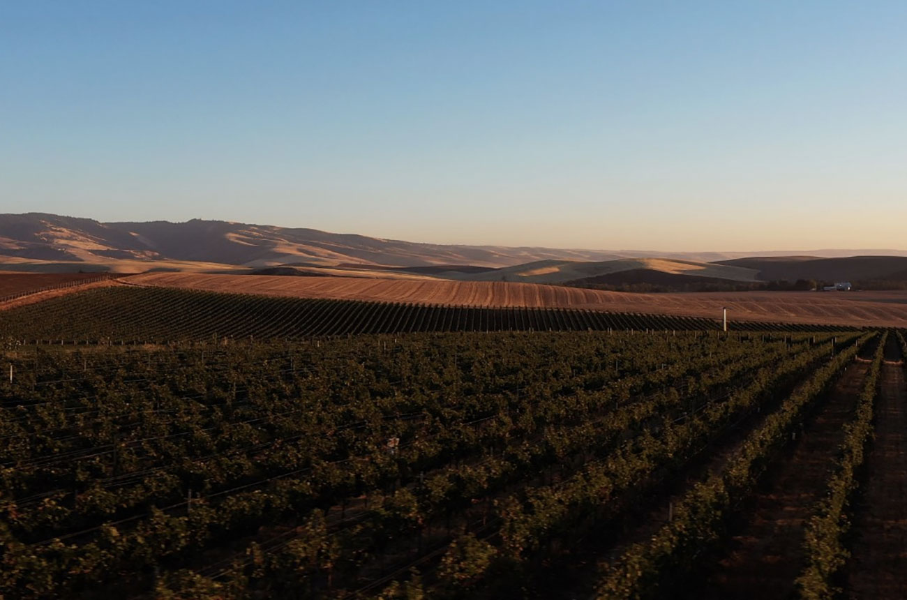 Jackson Family Wines purchases vineyard in Walla Walla Valley