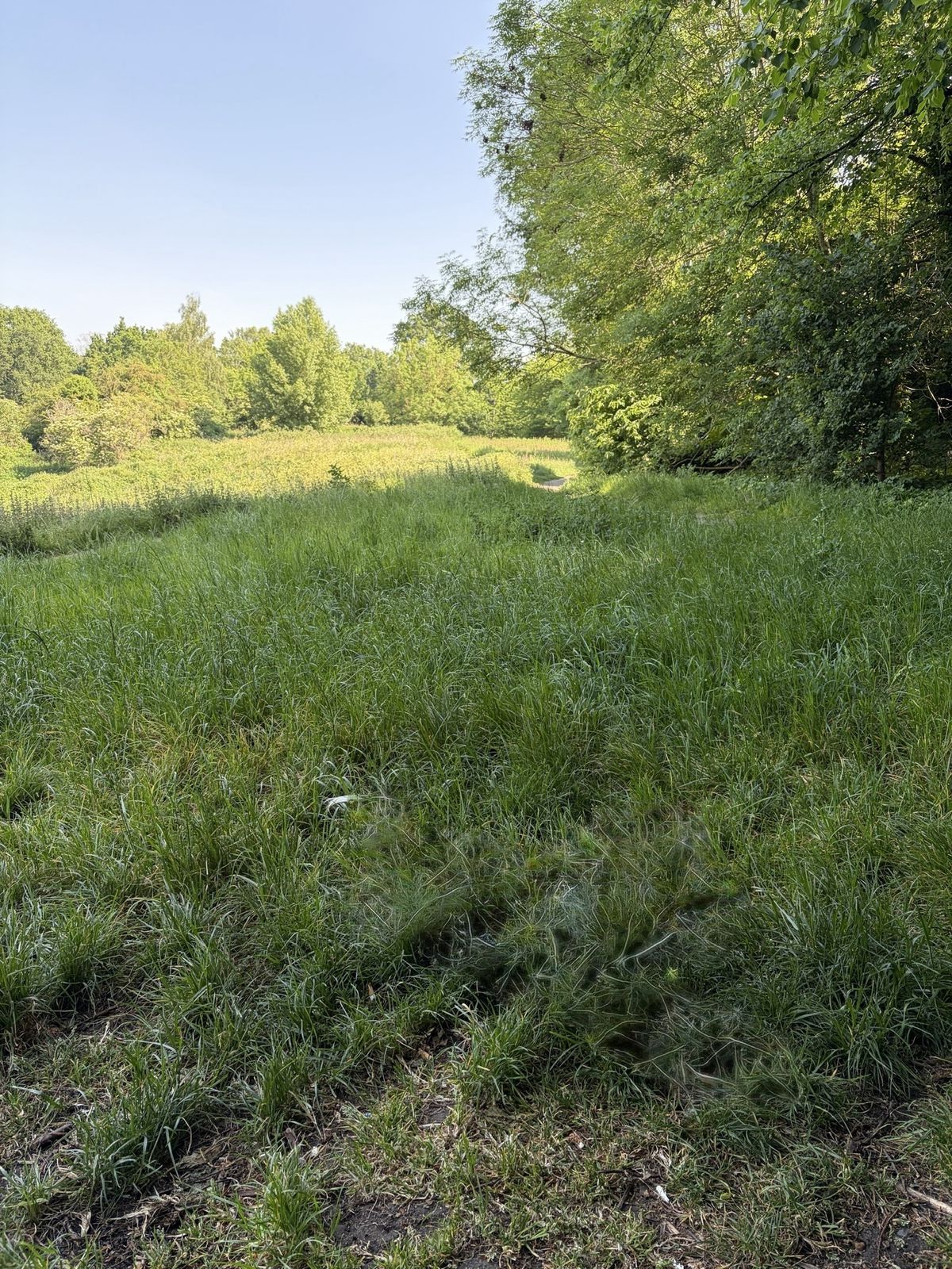 Assorted images demonstrating Clean Up in iOS 26
