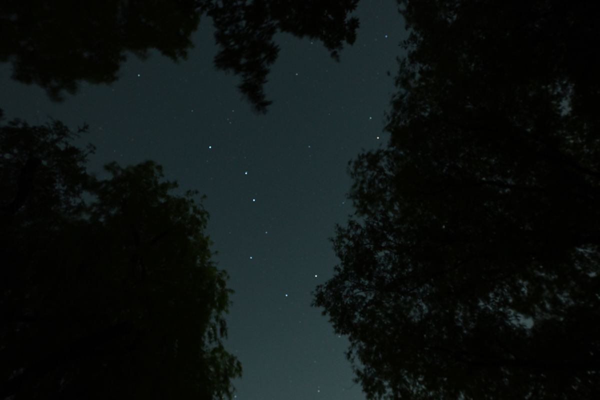 Seven bright stars of Ursa Major taken on the Nikon Z50 II.
