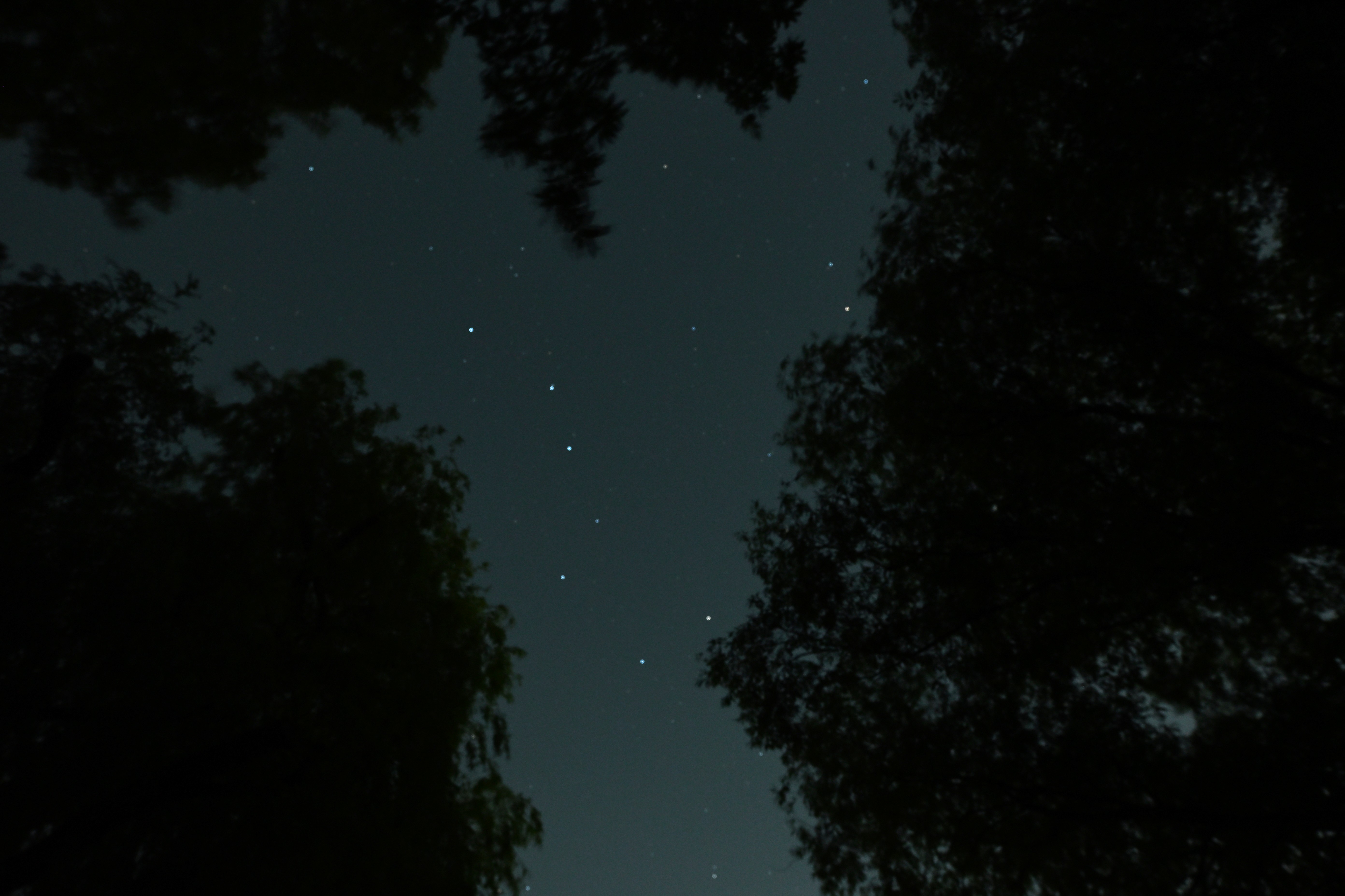 Seven bright stars of Ursa Major taken on the Nikon Z50 II.