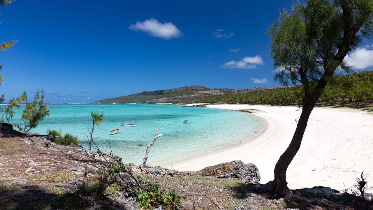 the island of Rodrigues