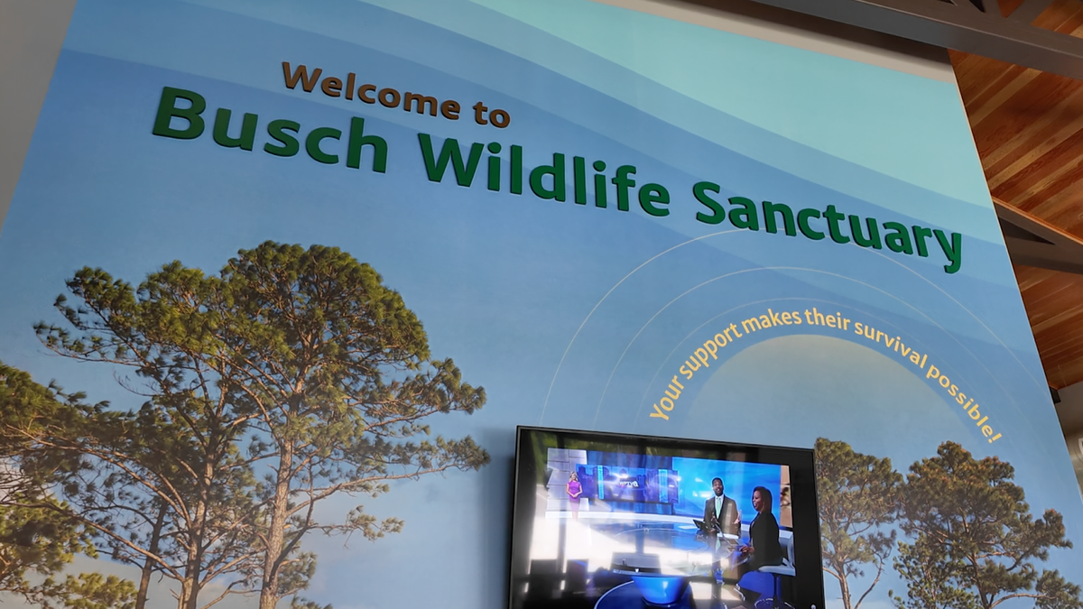 The Busch Wildlife Sanctuary.