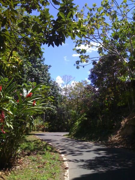 Training in the heat on beautiful, jungle roads