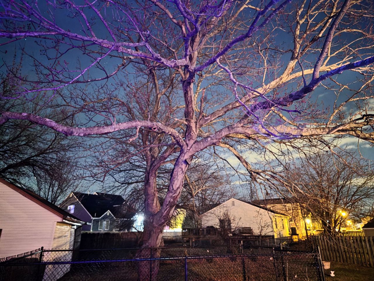 Samsung Galaxy S25 Ultra low light sample.