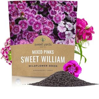 Amazon sweet william dianthus seeds