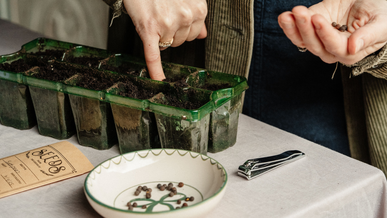 finger poking flower seed into a plug seed tray