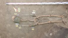 The skeleton of a woman who was buried with elaborate neck rings as well as rings around her arms.