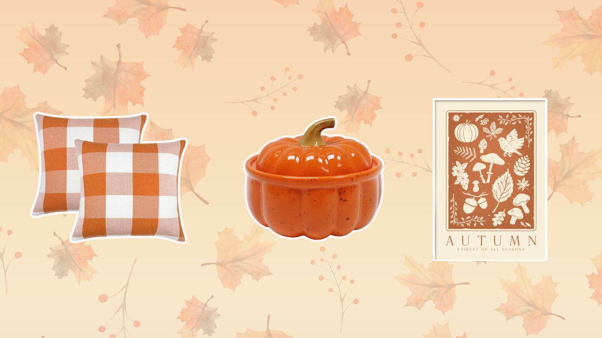 FYI These Cute Cheap Fall Decor Buys Are All Under 15 Real Homes   JiJZCCpGeYCJvGG9rXV6b 1200 80 