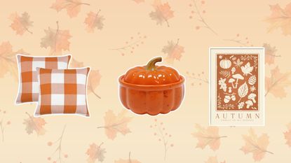 Three cheap fall decor buys on an autumnal background