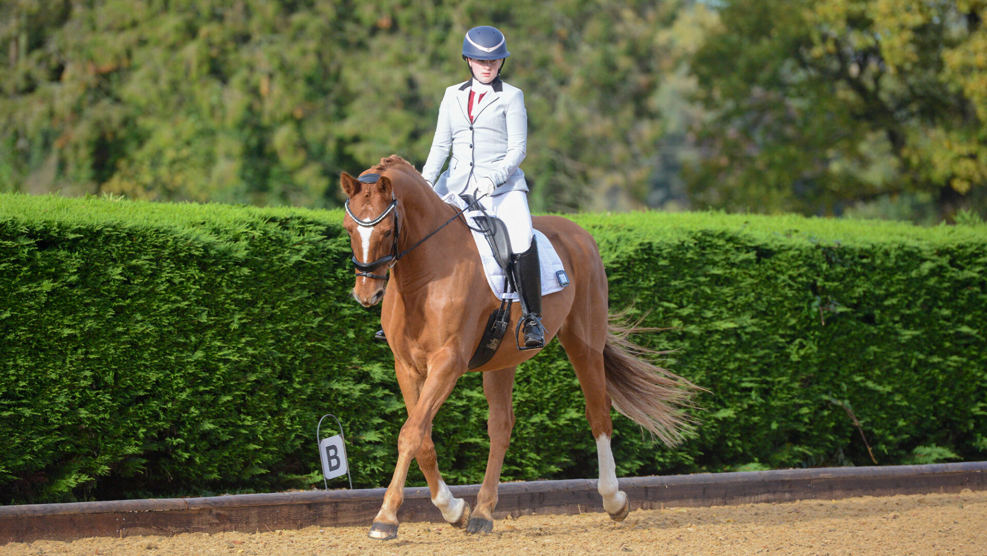11 dressage squares ideal for competition and everyday training