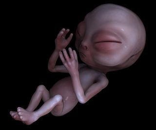 an alien baby