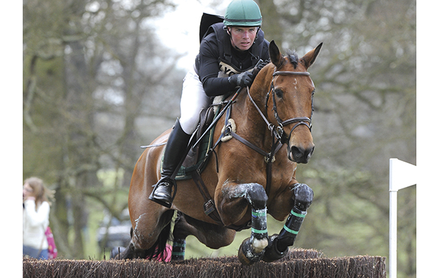 Fernhill-Revelation.jpg