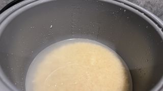 cosori 5.0-quart rice cooker testing in kitchen