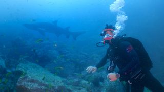 Chris Hemsworth takes a dive with a 12ft-long Grey nurse shark.
