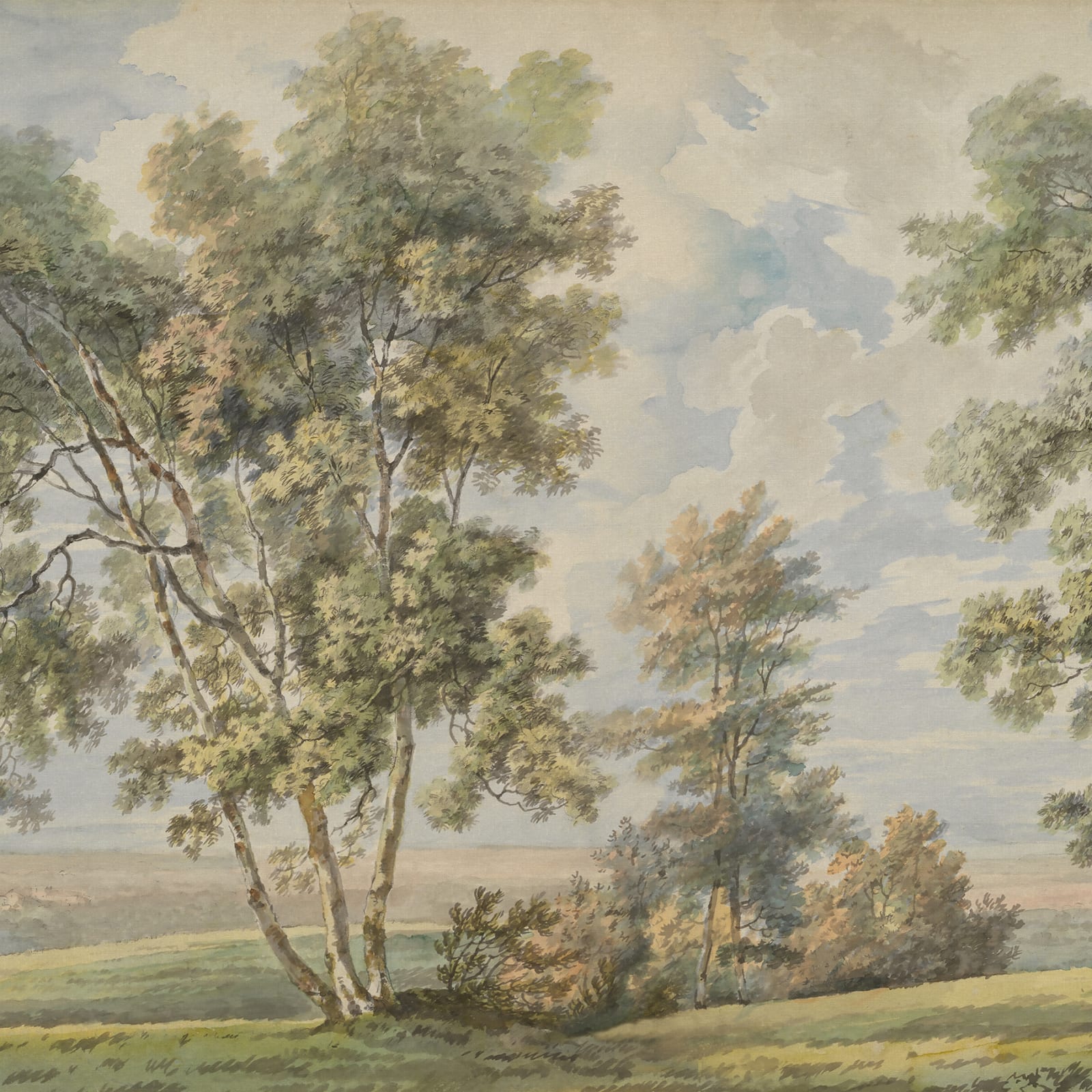 Tree on the Hill, Vintage
