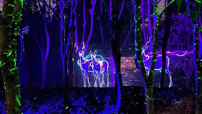 Electric blue deer projections stand in the woods thanks to Christie projectors.